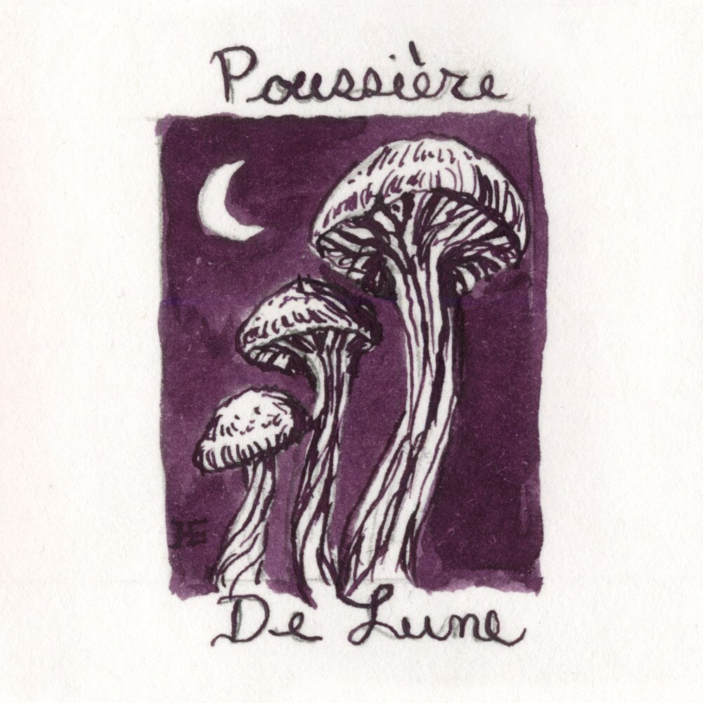 J.Herbin 10ml Fountain Pen Ink Poussier De Lune
